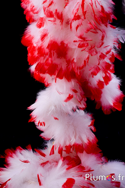 Frange dinde - long. plumes 10 cm - blanc pointe rouge